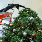 Low Angle View Of Man Decorating Christmas Tree